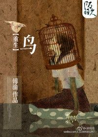 重生之鸟小说封面